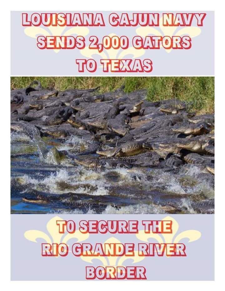 Cajun Navy Alligators.jpg