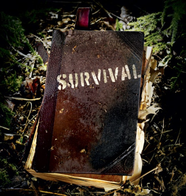 survival-425.jpg